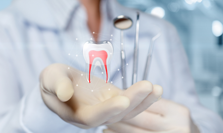 Qual é a função dos dentes molares e pré-molares?